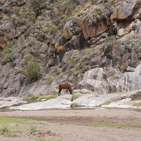 Altos Del Valle San Agustín de Valle Fértil Eksteriør bilde