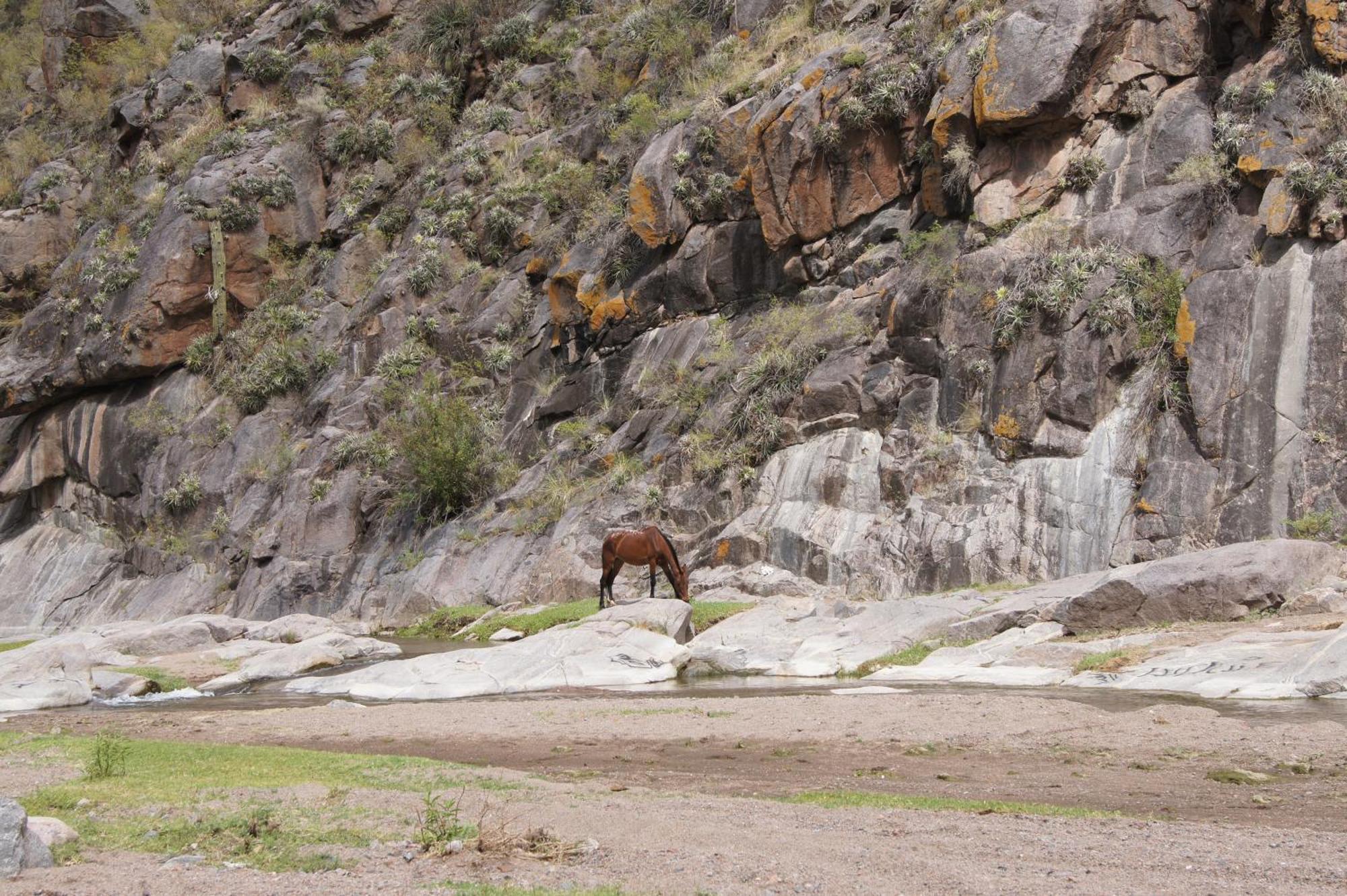 Altos Del Valle San Agustín de Valle Fértil Eksteriør bilde