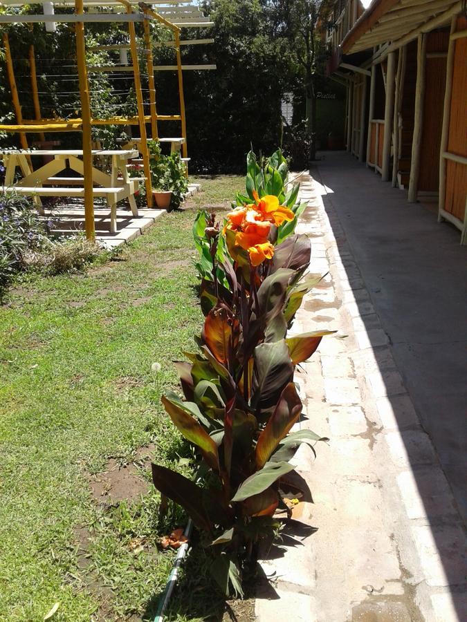 Altos Del Valle San Agustín de Valle Fértil Eksteriør bilde